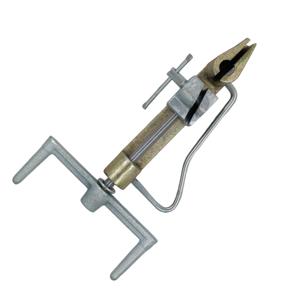 xr:d:DAFtgpibZuc:80,j:7477503167845174875,t:23090419